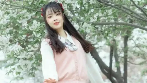 旧礼盒装新月饼