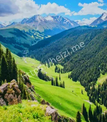 新疆霍拉山初秋草原